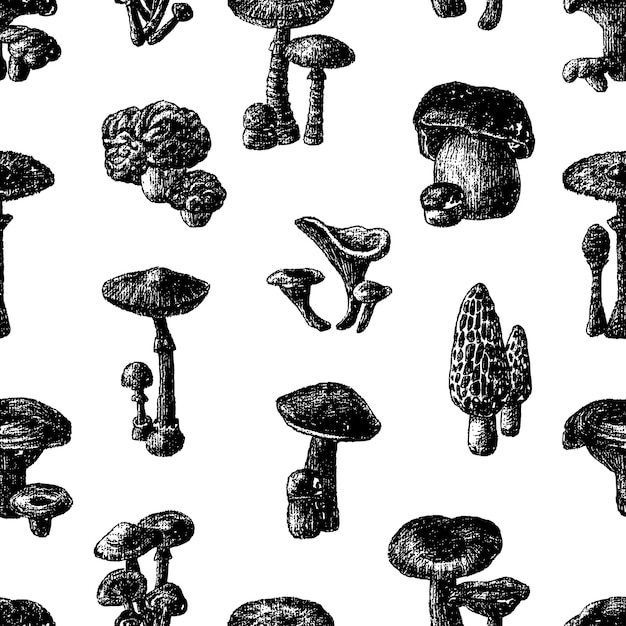 Vector pattern of various mushrooms