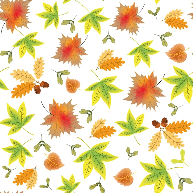 vector pattern with autumn bright leaves, maple seeds and acorns, autumn leaf fall