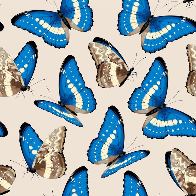 Vector pattern with high detailed tropic butterfly