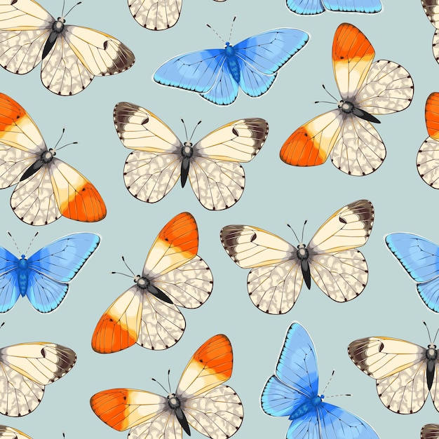 Vector pattern with high detailed vivid butterfly