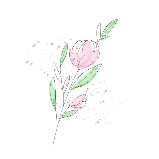 Vector peony flower lineart and watercolors