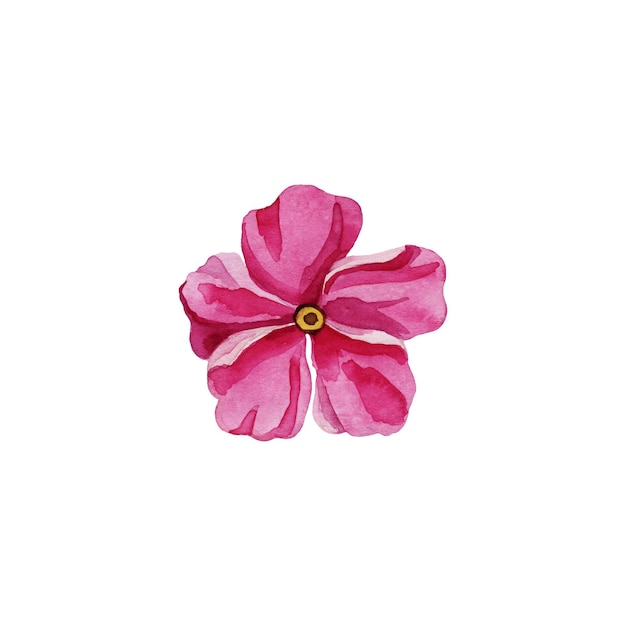 Vector pink flower isolated on white background. Watercolor element