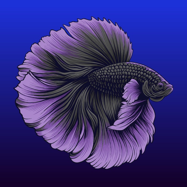 Vector vector pink grey halfmoon betta fish in blue tank illustration design