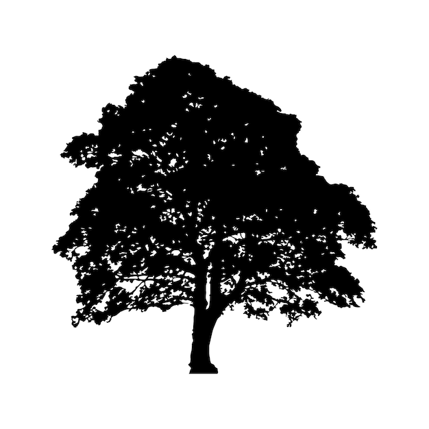 Vector of plant and tree silhouette