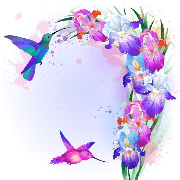 Vector print with Iris flowers and flying hummingbirds with empty place for text