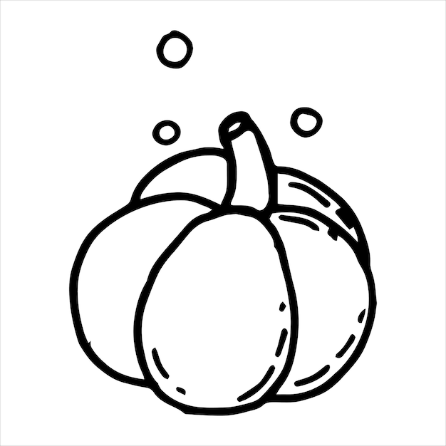 vector pumpkin drawing in doodle style