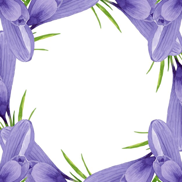 Vector vector purple crocus frame spring flowers arrangement hand painted watercolor floral illustration