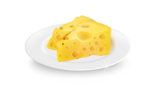 Vector realistic 3D cheese on a white plate Delicious pieces of cheese Food decoration