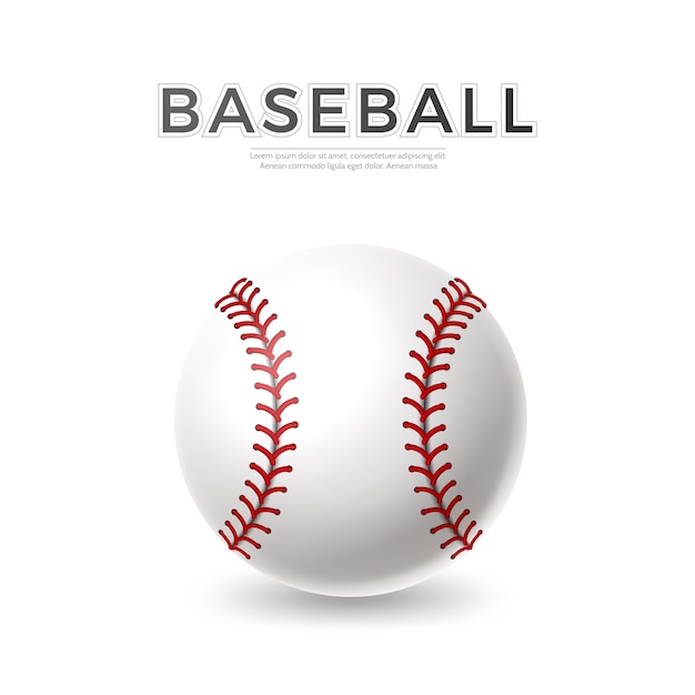 Vector Realistic baseball ball