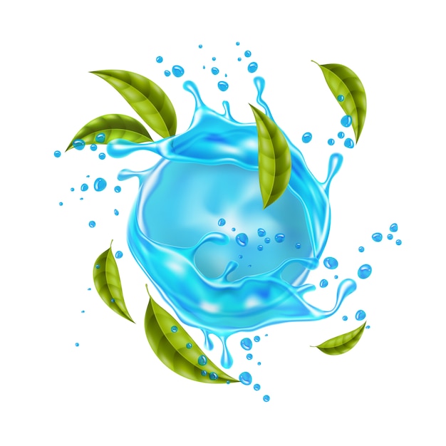 Vector realistic blue water splash mint leaves