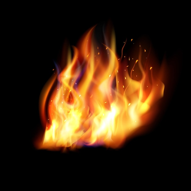 vector realistic burning fire flames with smoke