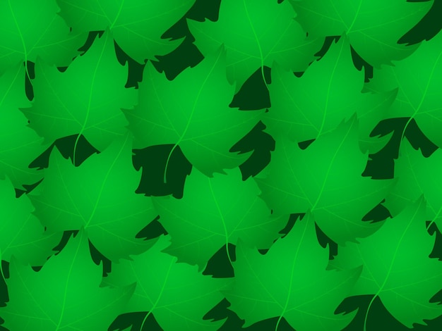 Vector realistic green maple leaves