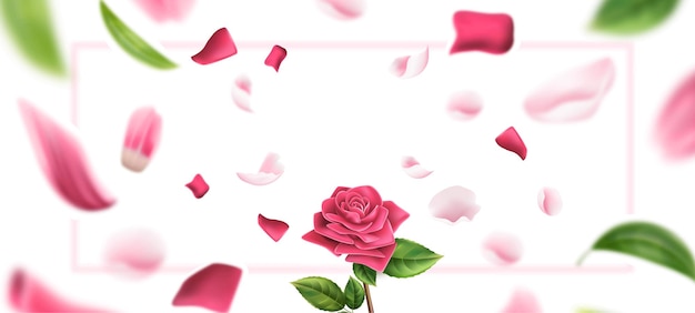 Vector realistic rose on blurred rose petal and leaves romantic background