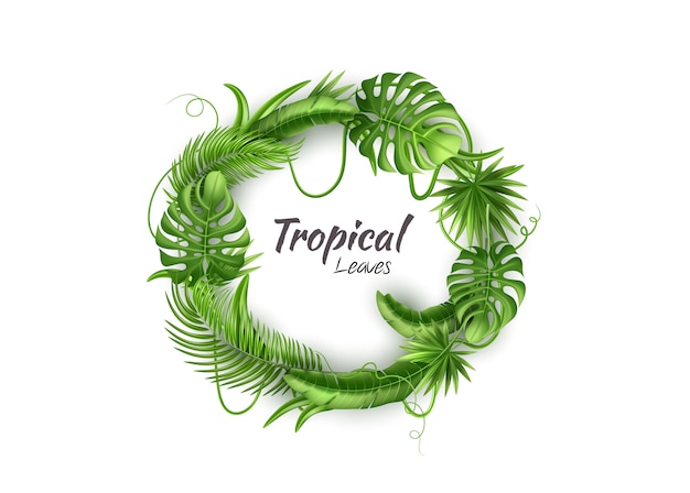 Vector realistic tropical leaves exotic vacation