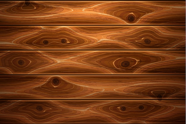 Vector realistic wooden timber texture