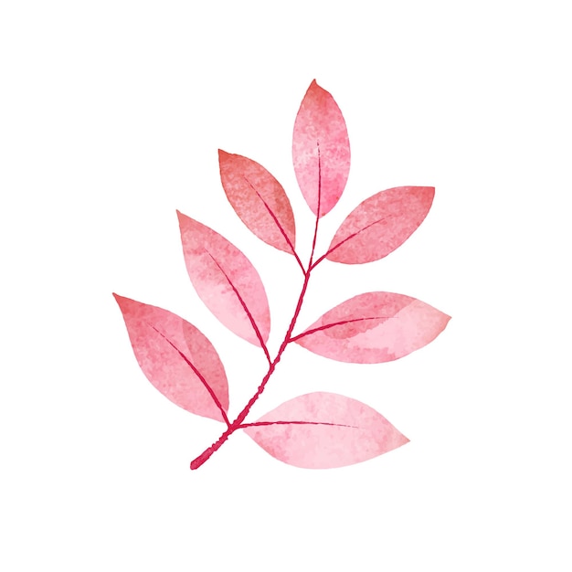 Vector red watercolor branch design element on white