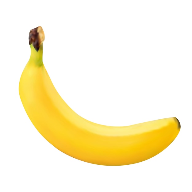 vector ripe realistic banana