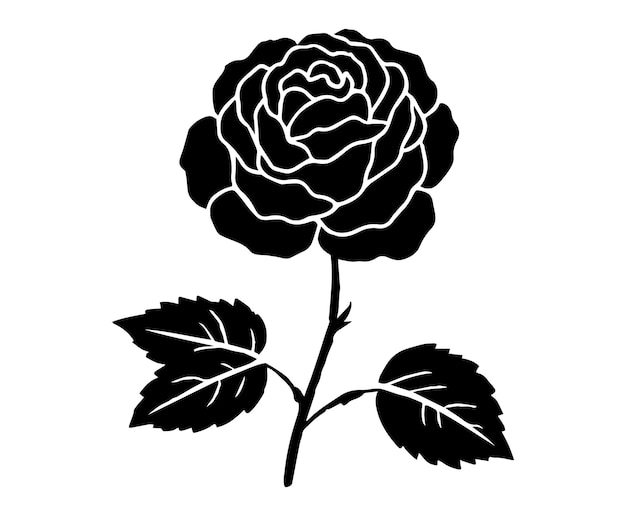 vector rose flower silhouette design