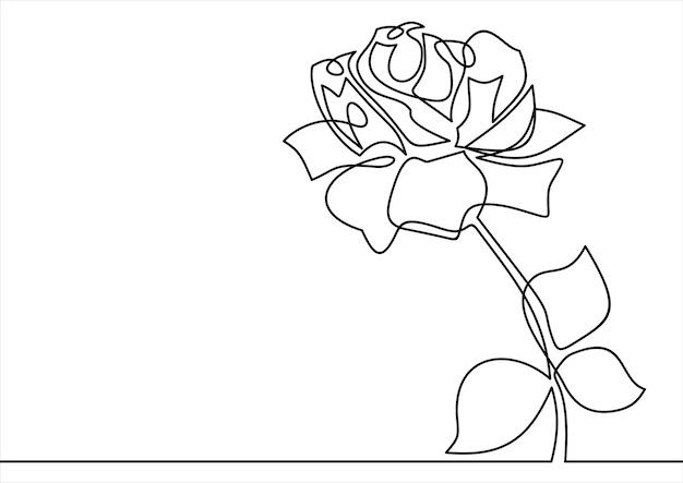 vector of rose flowers continuous line drawing