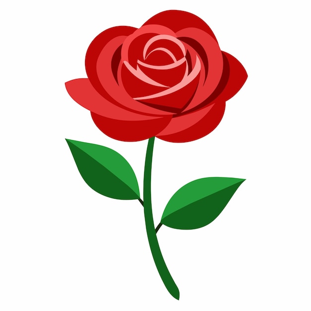 Vector a rose with green leaves with flat illustration style