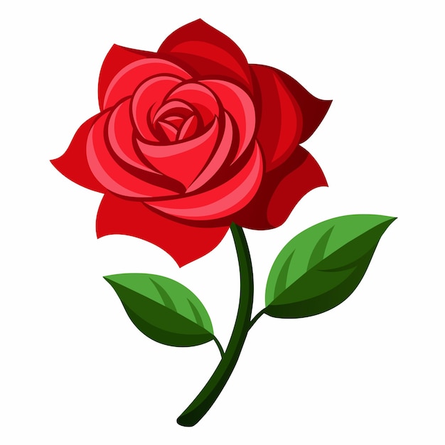 Vector a rose with green leaves with flat illustration style