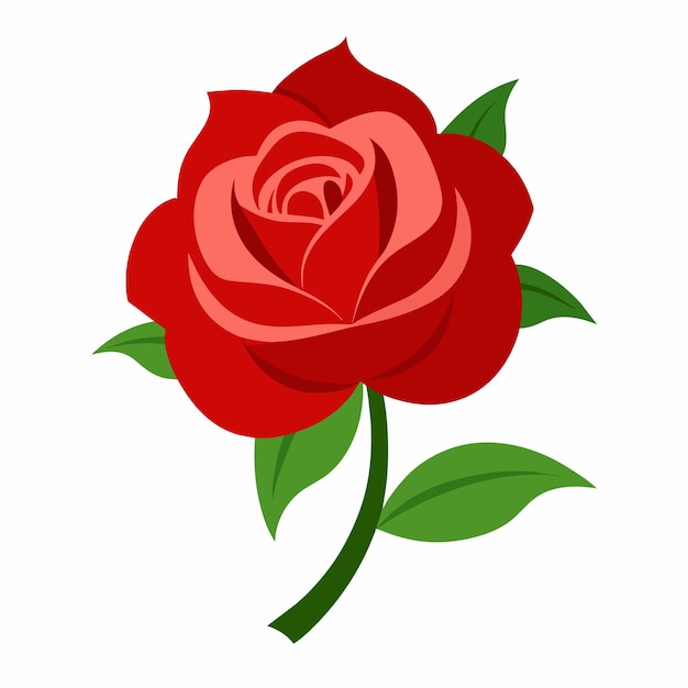 Vector a rose with green leaves with flat illustration style