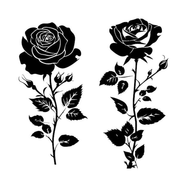 Vector roses silhouette black and white template