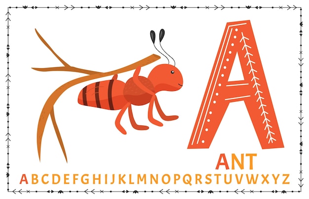 Vector Scandinavian alphabet Cartoon kids alphabet Hand drawn design to learn letters Excellent for the design of postcards posters stickers and so on A Ant