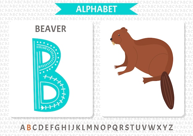 Vector Scandinavian alphabet Cartoon kids alphabet Hand drawn design to learn letters Excellent for the design of postcards posters stickers and so on B Beaver