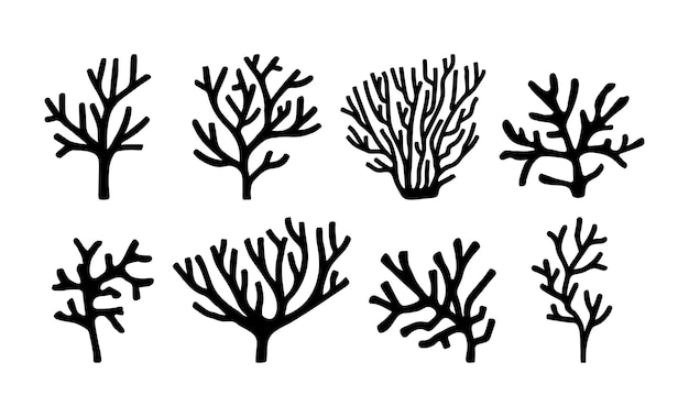 Vector vector sea collection corals hand drawn doodle illustrations