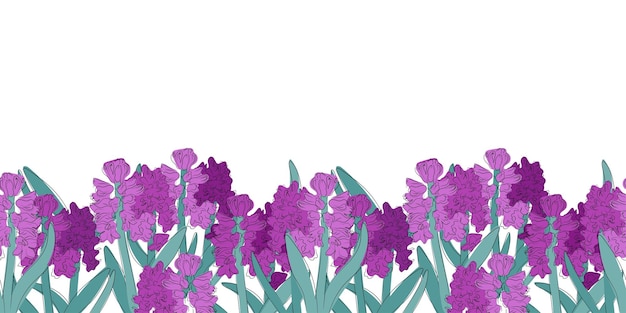 Vector seamless border with handdrawn purple hyacinth flowers