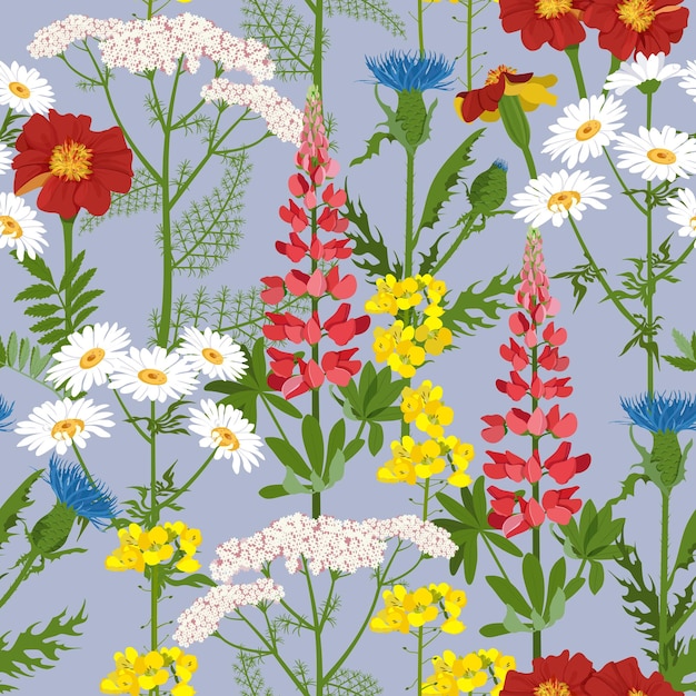 Vector seamless colorful illustration with wild flowers on a blue background