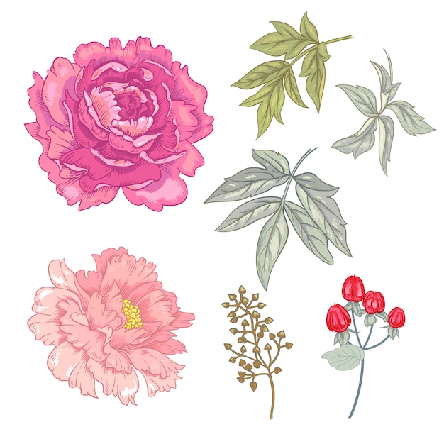 Vector seamless floral pattern.