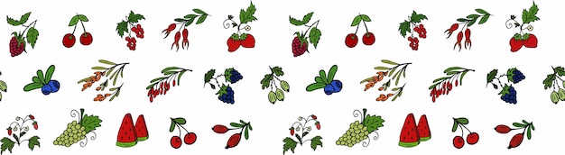 Vector Seamless pattern berries Barberry strawberries raspberries cherries blueberries grapes