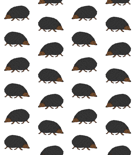 Vector seamless pattern of hand drawn hedgehog