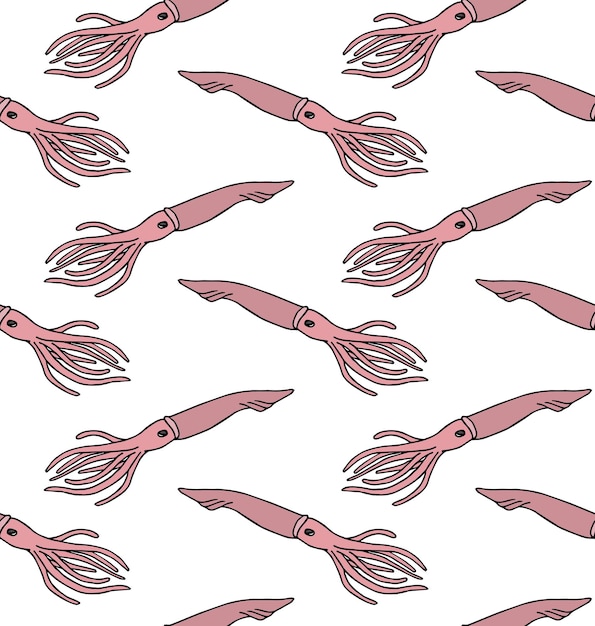 Vector seamless pattern of hand drawn squid