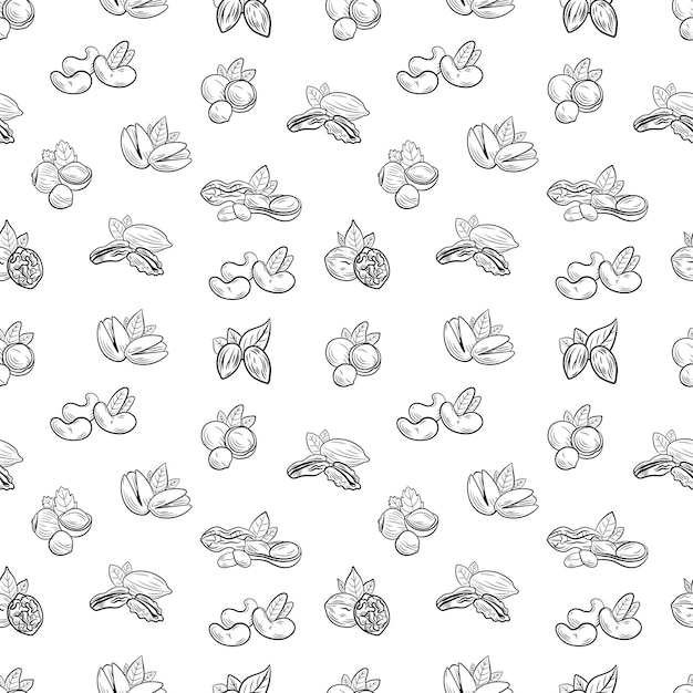 Vector seamless pattern NUTS different nuts black and white outline illustration