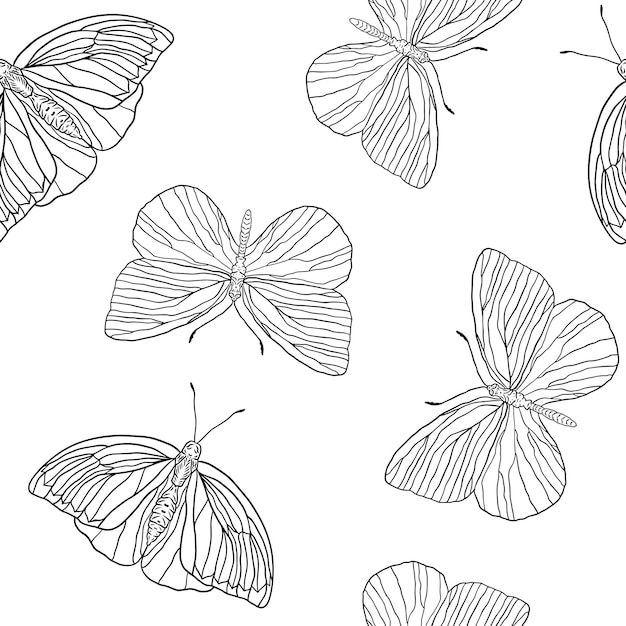 Vector seamless pattern of outline black and white butterflies on a white background