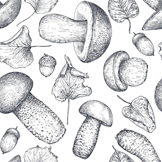 Vector seamless pattern with hand drawn forest mushrooms with fall leaves, acorn. Beautiful autumn endless illustration in sketch style for coloring book, textile, package.