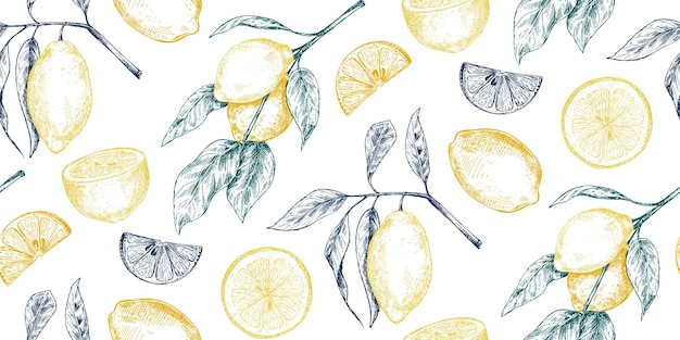 Vector seamless pattern with hand drawn fresh lemon tree branches fruits and flowers in sketch style