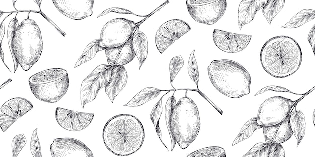 Vector seamless pattern with hand drawn fresh lemon tree branches fruits and flowers in sketch style