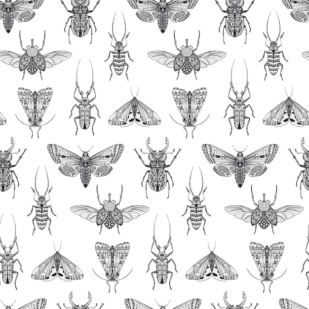 Vector seamless pattern with hand drawn insects Entomological magical endless background