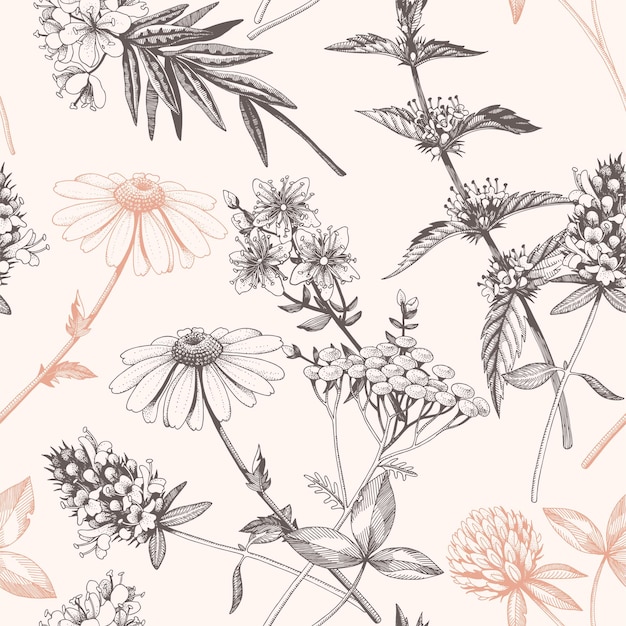 Vector seamless pattern with hand drawn meadow flowers