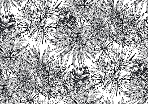 Vector seamless pattern with hand drawn pine branches in sketch style Forest endless background