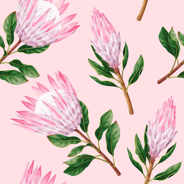 Vector seamless pattern with high detailed protea