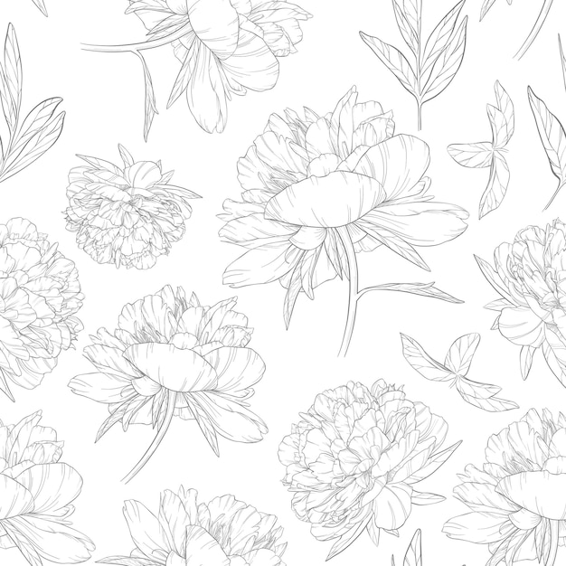 Vector seamless pattern with many linear large blooming peonies and leaves