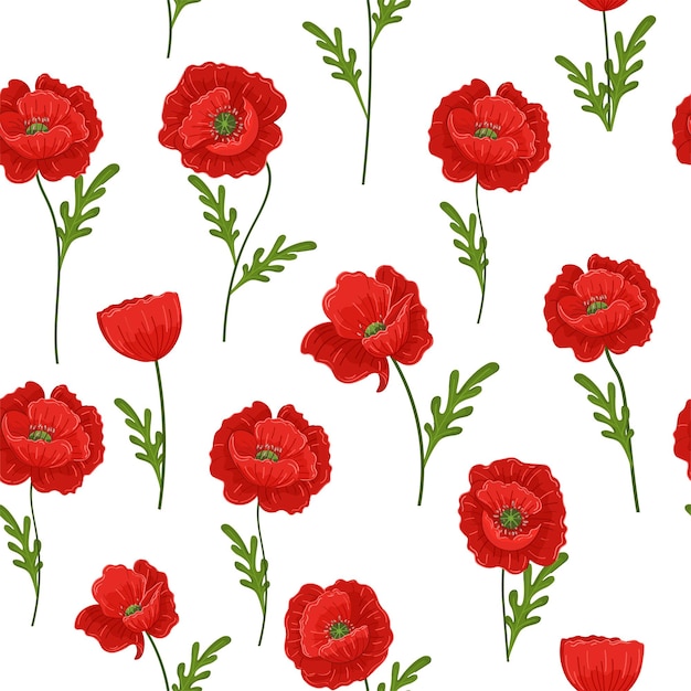 Vector seamless pattern with red poppies on a white background Beautiful summer flowers The print