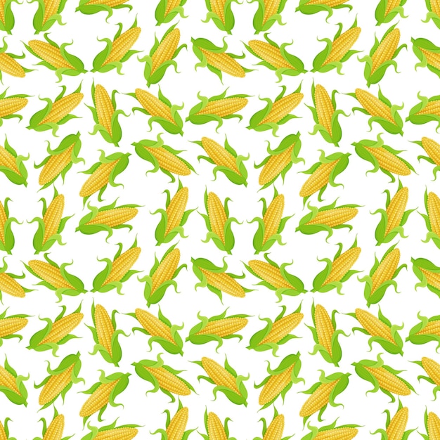 Vector seamless pattern with ripe golden corn cobs.