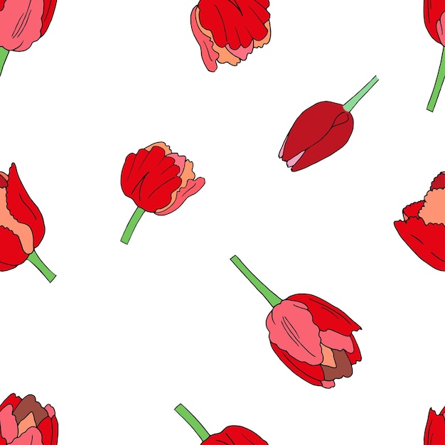 vector seamless patterns with tulips flowers background