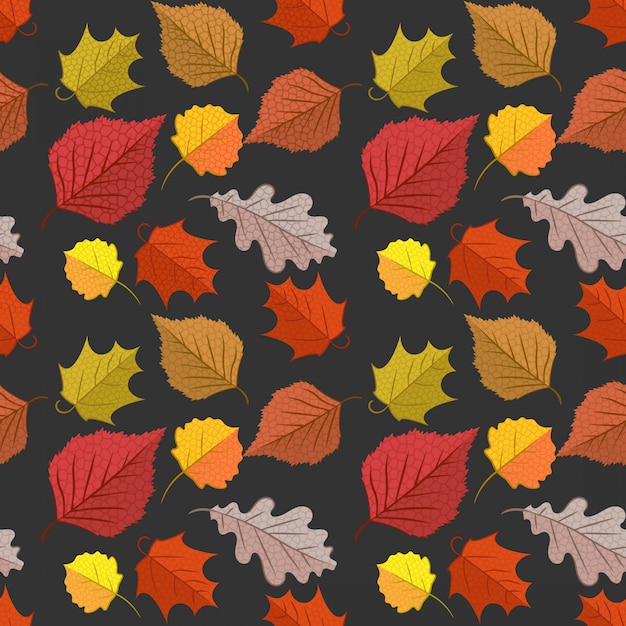 Vector seamless with autumn maple leaves